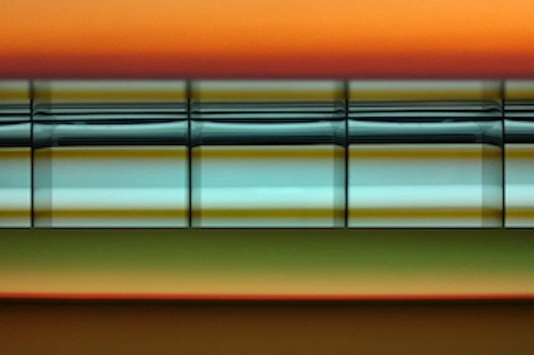Tolis Tatolas, fragment from the "Diversity’s Ark", 2022